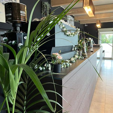 Bed & Breakfast La Rondinella Cerasolo Екстер'єр фото