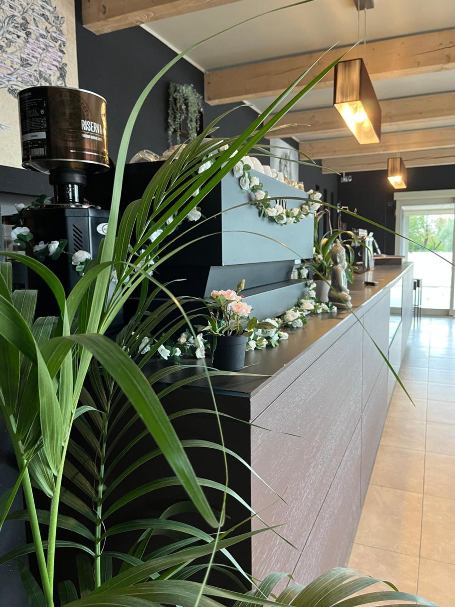 Bed & Breakfast La Rondinella Cerasolo Екстер'єр фото